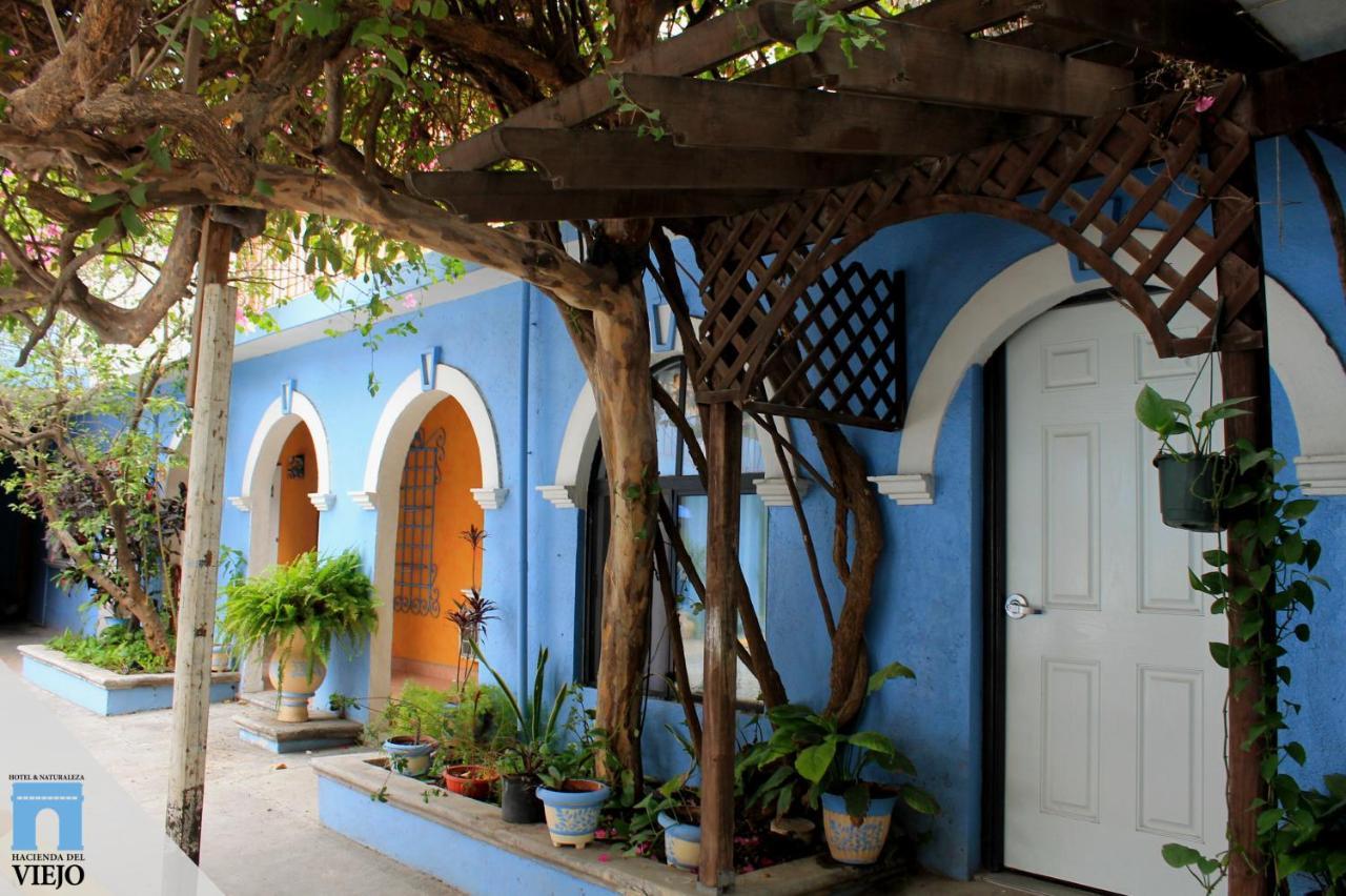 Hotel Hacienda del Viejo Matamoros  Exterior foto